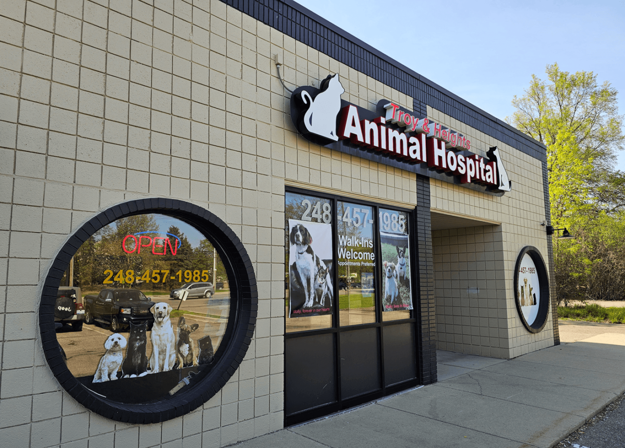 Troy Heights Animal Home Banner 1280x917 
