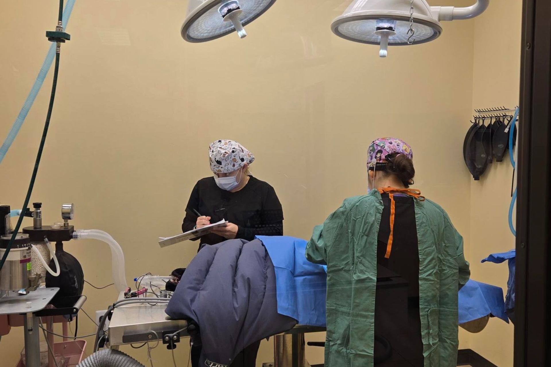surgery img