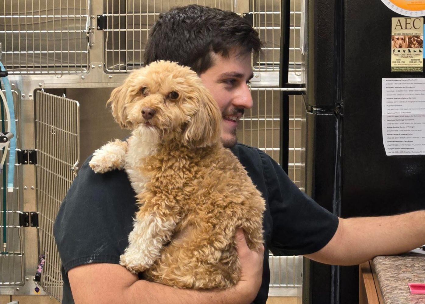A man holding a small dog while browsing